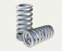 Valve Springs